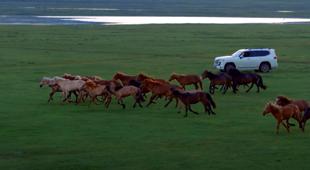 BRB, TOYOTA MONGOLIA - LAND CRUISER TVC 02