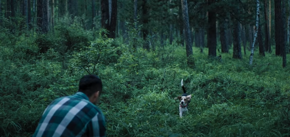 Mobicom - DOG & OWNER